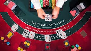 213 bet
