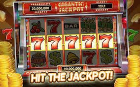 213 bet