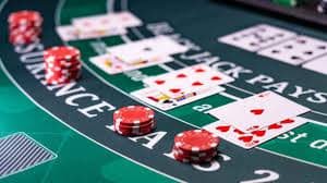 213 bet
